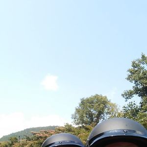 Meet your Posher, Patti